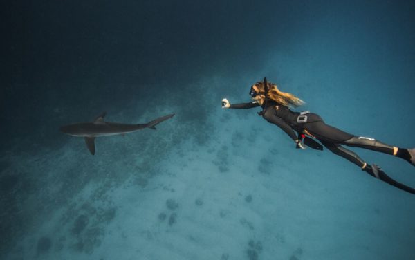 Woman diving near a shark in the Galapagos Islands.
