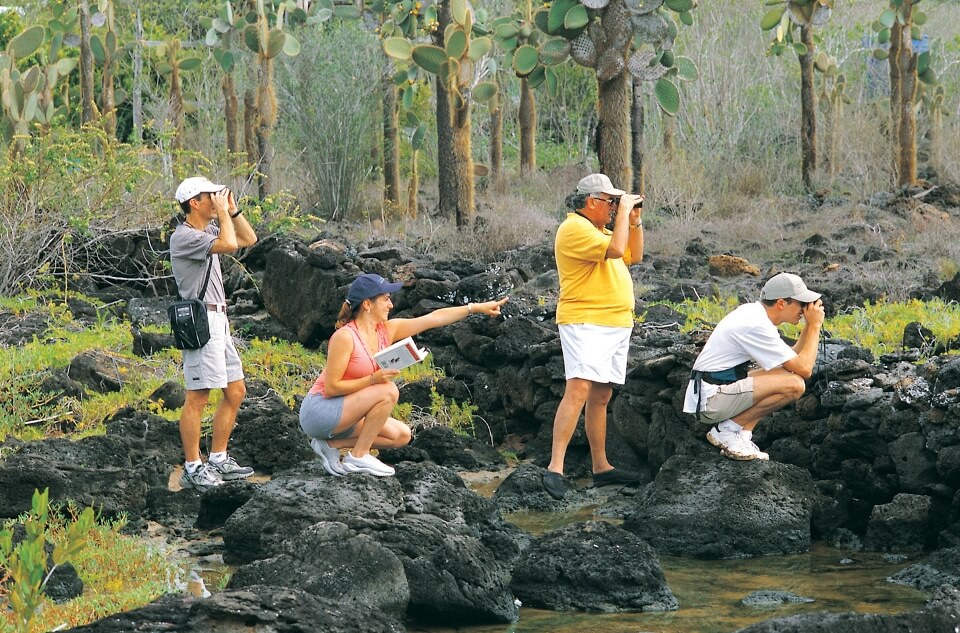 Guests in Galapagos spotting wildlife.