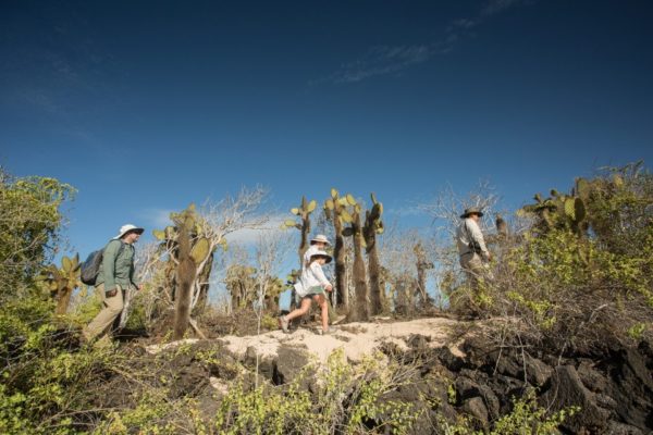 Santa Cruz II's guests hiking on Isabela Island.