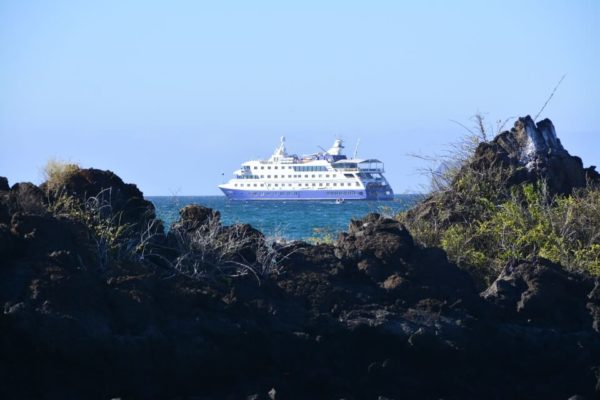 The Santa Cruz II Galapagos Cruise is considered an expedition vessel.