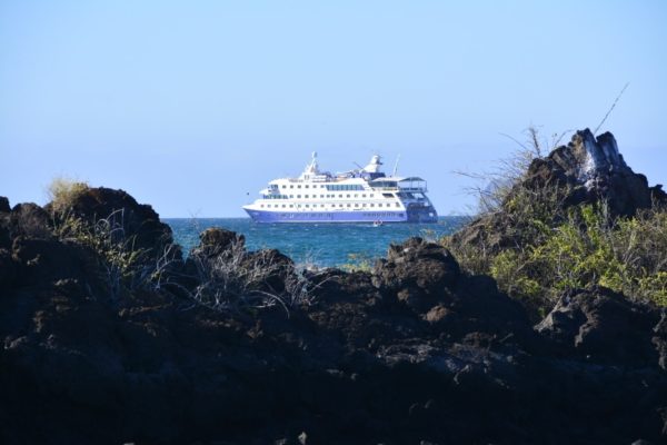 Santa Cruz II Cruise from Las Bachas.