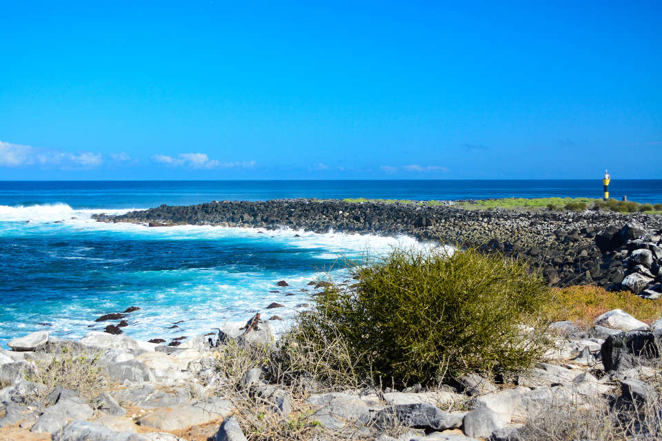 Española Island is visited during the Santa Cruz's Eastern Galapagos Itinerary.