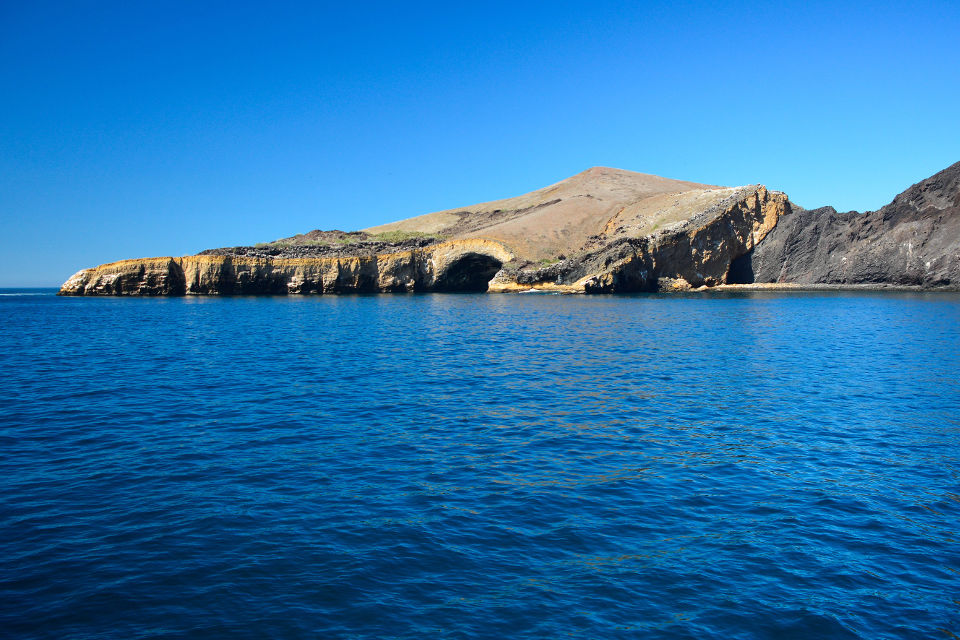 Punta Vicente Roca is located at Isabela Island.